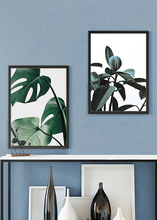 MONSTERA LEAVES NO. 1 & GREEN PLANT POSTERS
