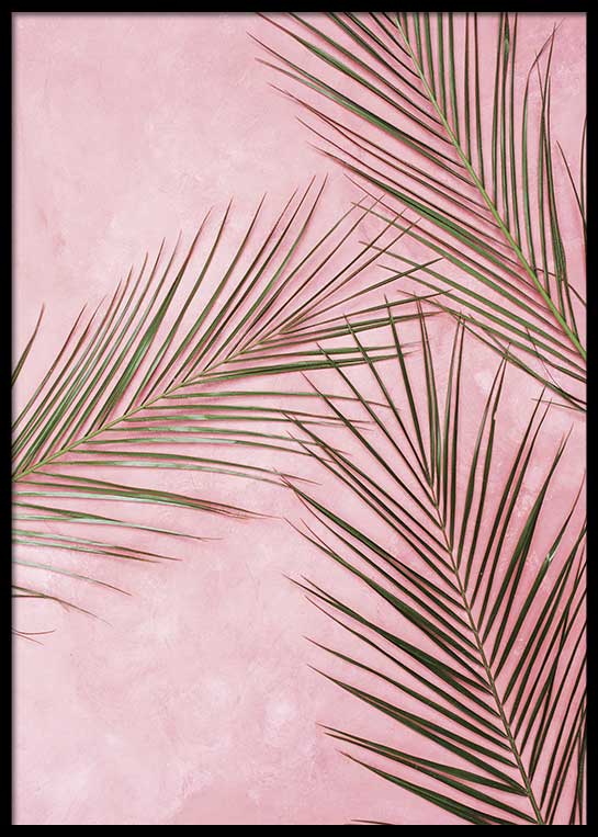 PALM ON PINK POSTER