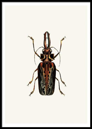 VINTAGE BUGS NO. 3 POSTER