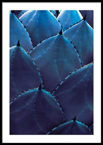 BLUE AGAVE POSTER