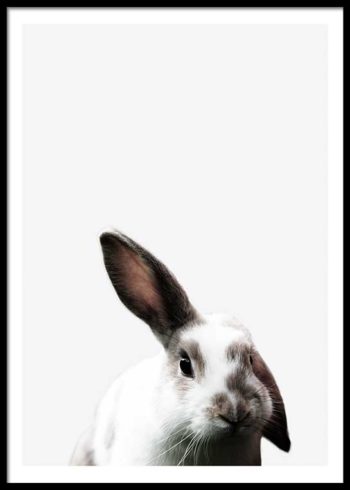 BUNNY POSTER
